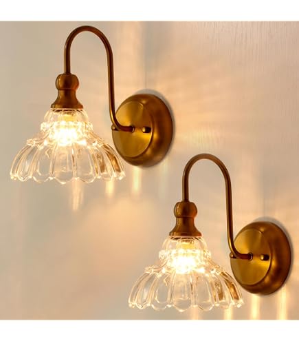 Amazon.com: lobolighting Vintage Wall Sconce Set of 2 with Glass